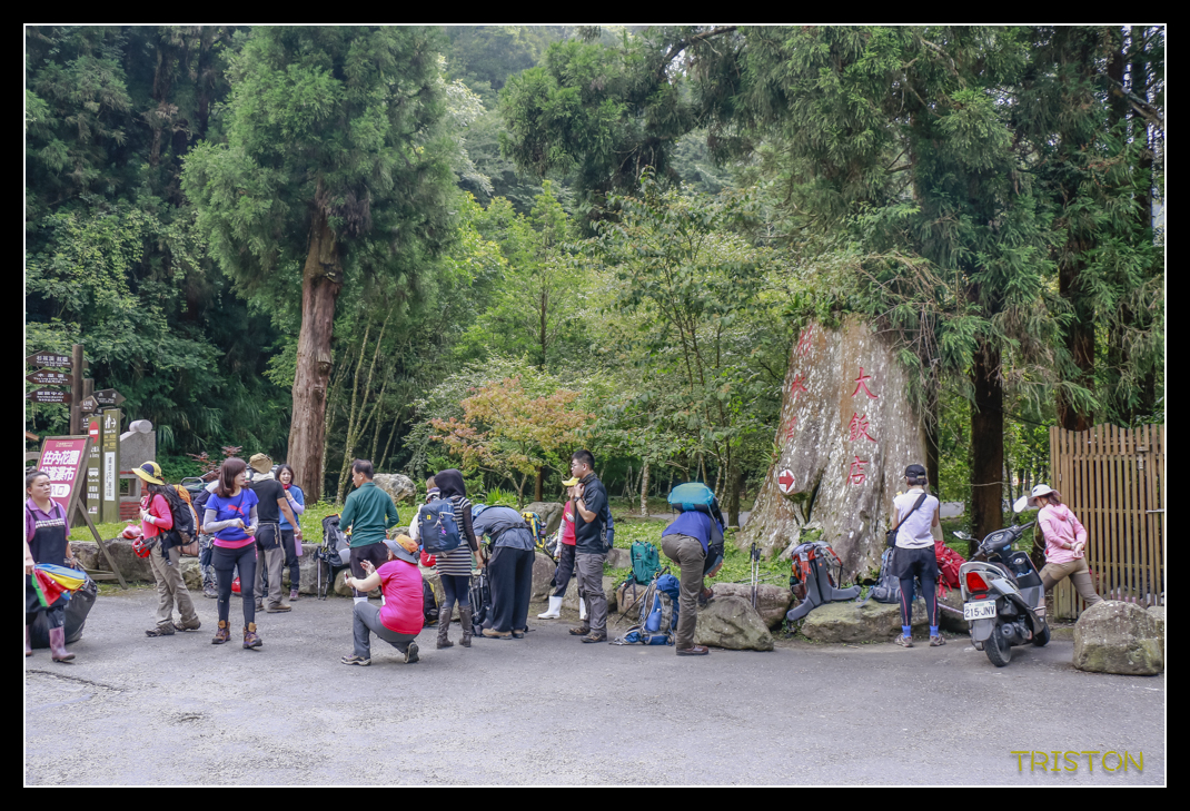 _MG_0001.jpg - 20170723 水漾森林