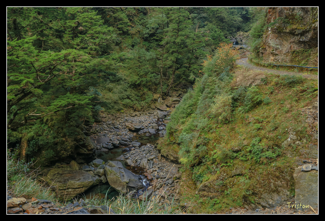 JH1A0817.jpg - 20151205 合歡溪步道、108K楓之谷