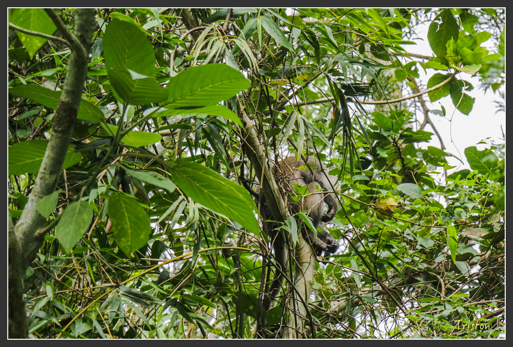 IMG_1544-2.jpg - 20160122 南仁湖、墾丁