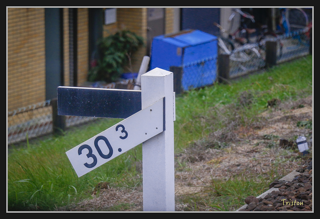 Canon-327.jpg - 20170120 大阪神戶親子遊