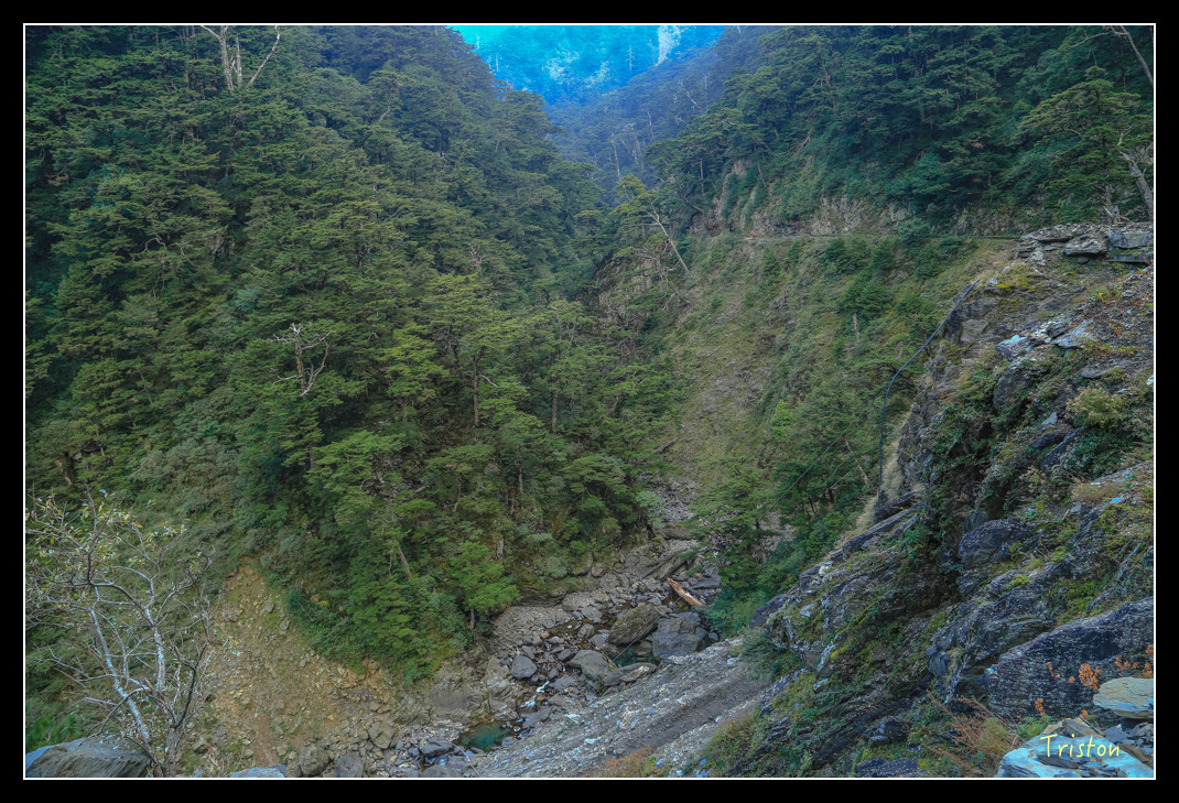 JH1A0822.jpg - 20151205 合歡溪步道、108K楓之谷