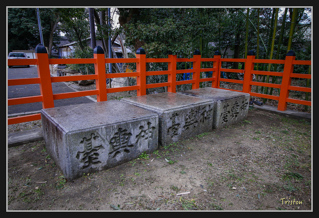 Canon-339.jpg - 20170120 大阪神戶親子遊