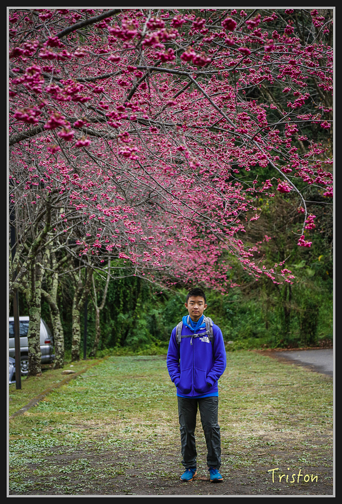 _H1A2340.jpg - 20170212 武界 萬大電廠 奧萬大