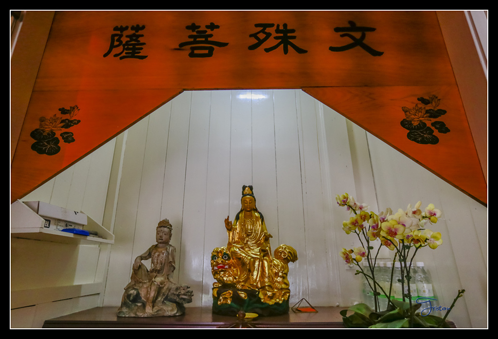 _H1A3753.jpg - 20170425 阿里山+圓潭螢火蟲