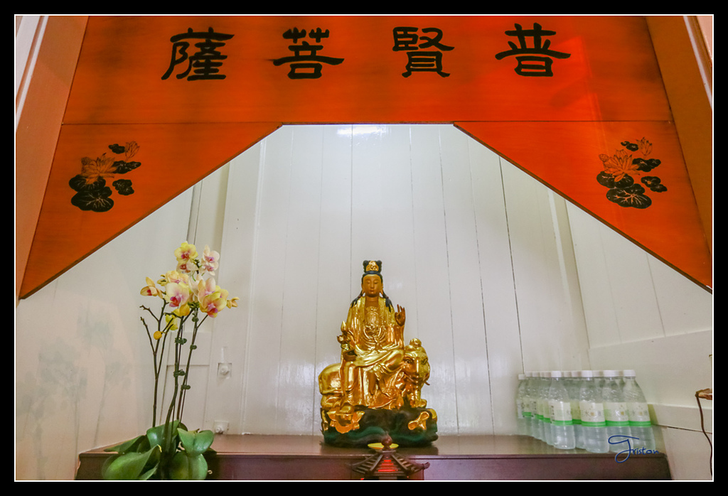 _H1A3752.jpg - 20170425 阿里山+圓潭螢火蟲