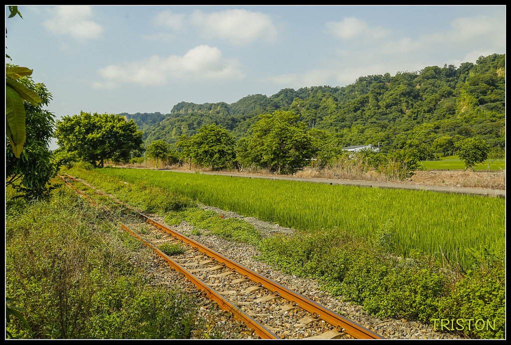 00051.jpg - 20171018A 集集線源泉站東拍小黃山
