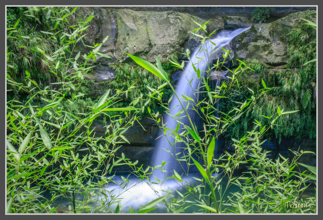 _MG_8677.jpg - 20160622 圓潭、雲潭、水社寮車站