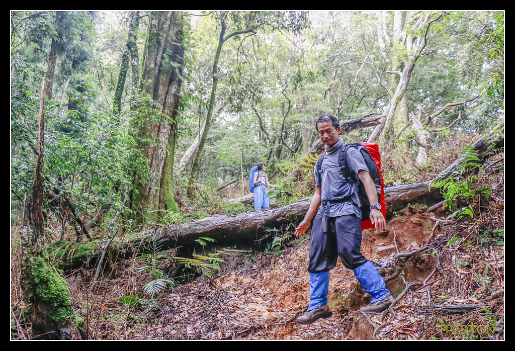 _MG_0131.jpg - 20170723 水漾森林