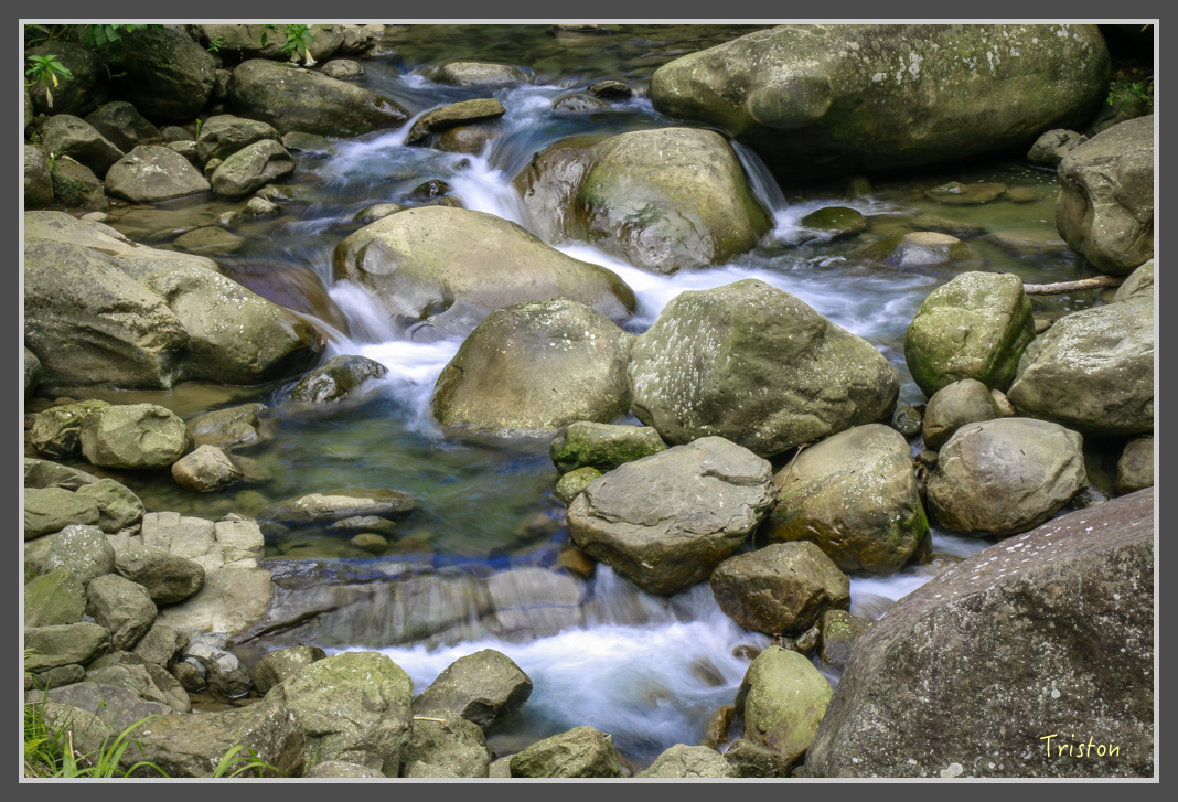 _MG_8682.jpg - 20160622 圓潭、雲潭、水社寮車站