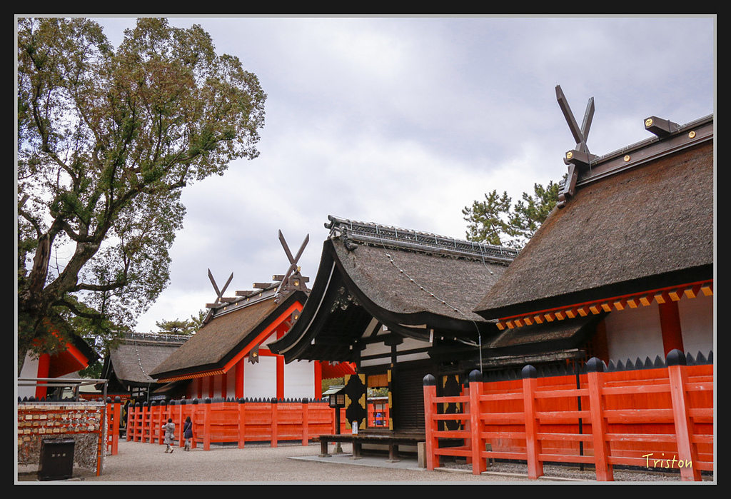 Canon-369.jpg - 20170120 大阪神戶親子遊