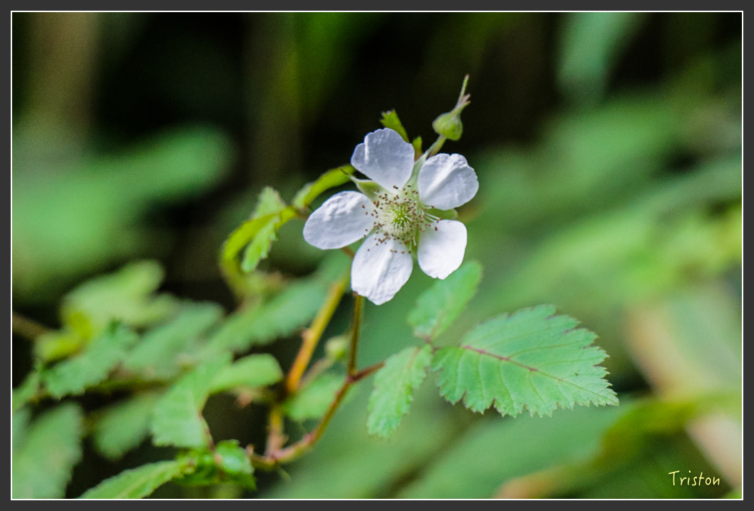 IMG_1319-2.jpg - 20160122 南仁湖、墾丁
