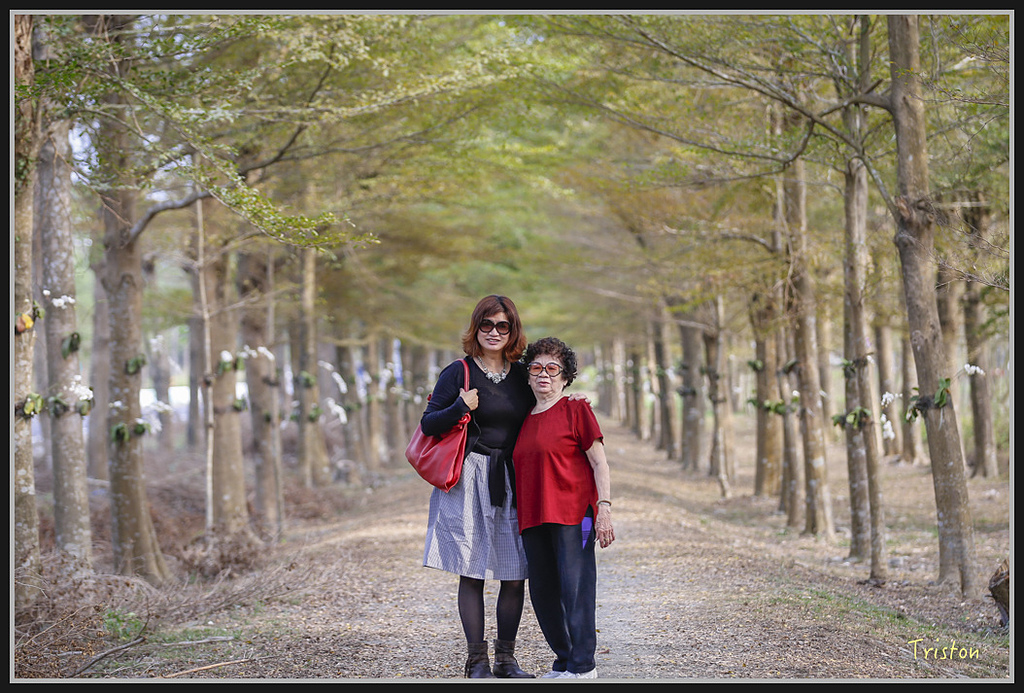 _H1A1676.jpg - 20170130 潮州全家福