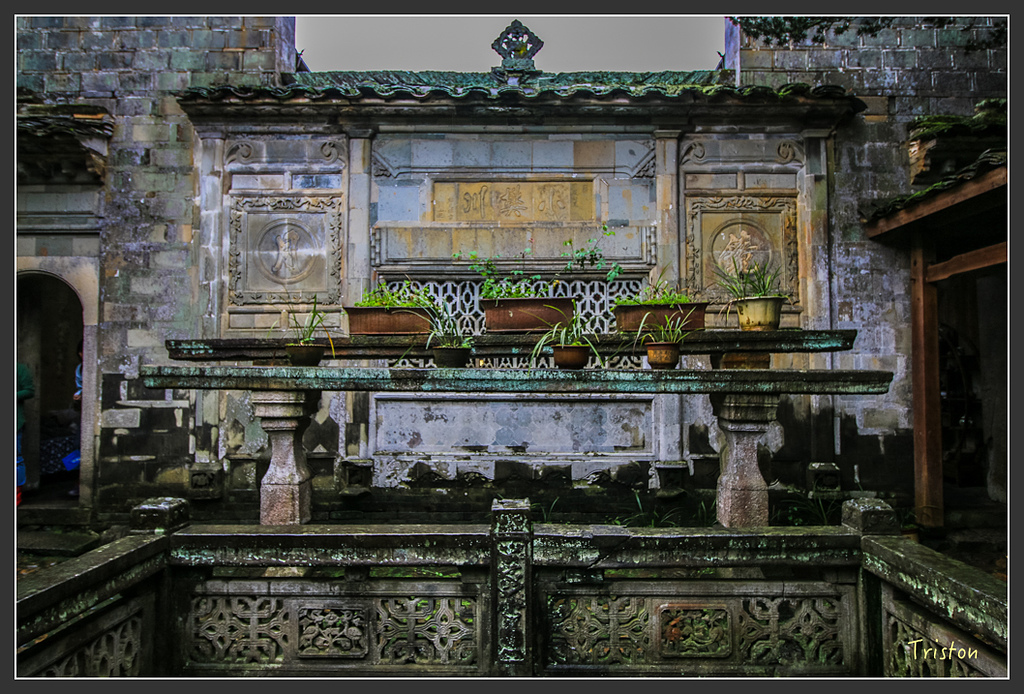 IMG_6633.jpg - 20160409 武夷山之旅