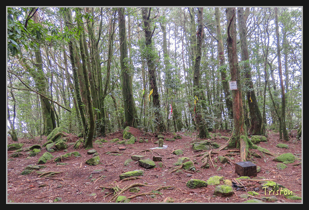 IMG_1401.jpg - 20170318 守關山、守城大山