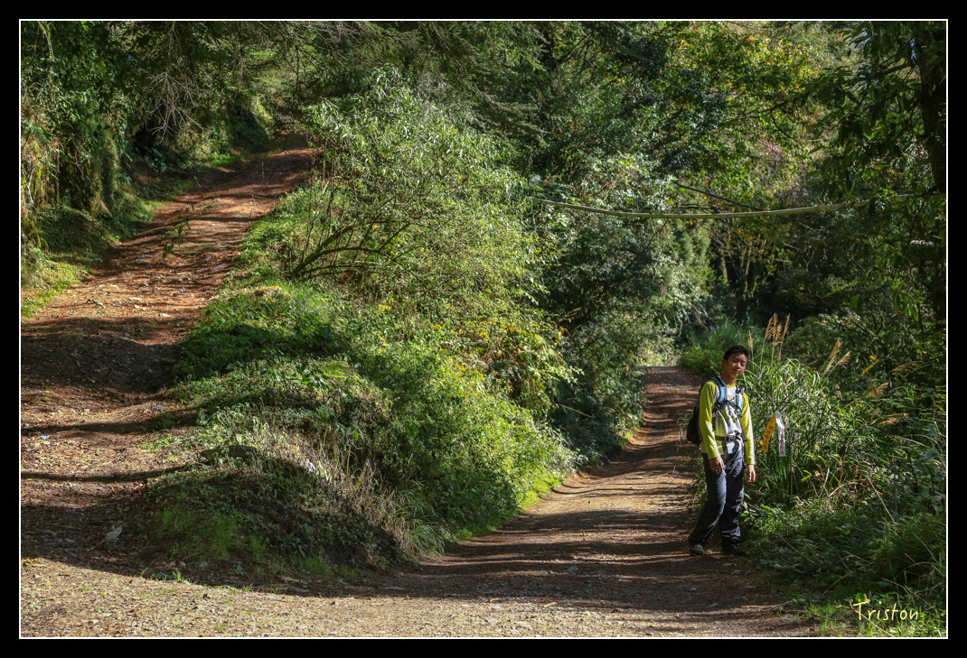 JH1A0642.jpg - 20151205 合歡溪步道、108K楓之谷