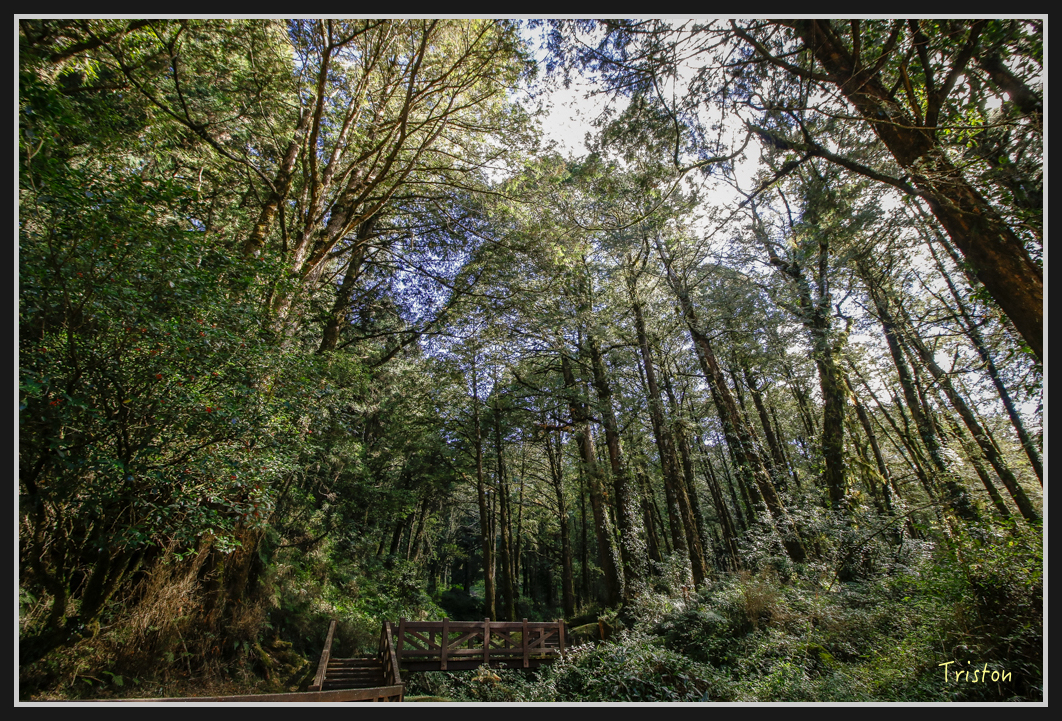 _MG_0190.jpg - 20161226 大塔山