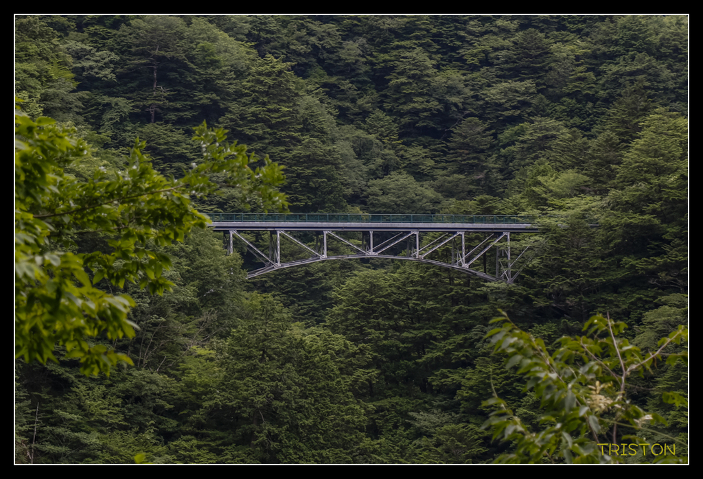 _MG_0873.jpg - 20170702 靜岡東海道之旅