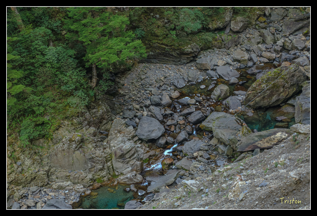 JH1A0763.jpg - 20151205 合歡溪步道、108K楓之谷