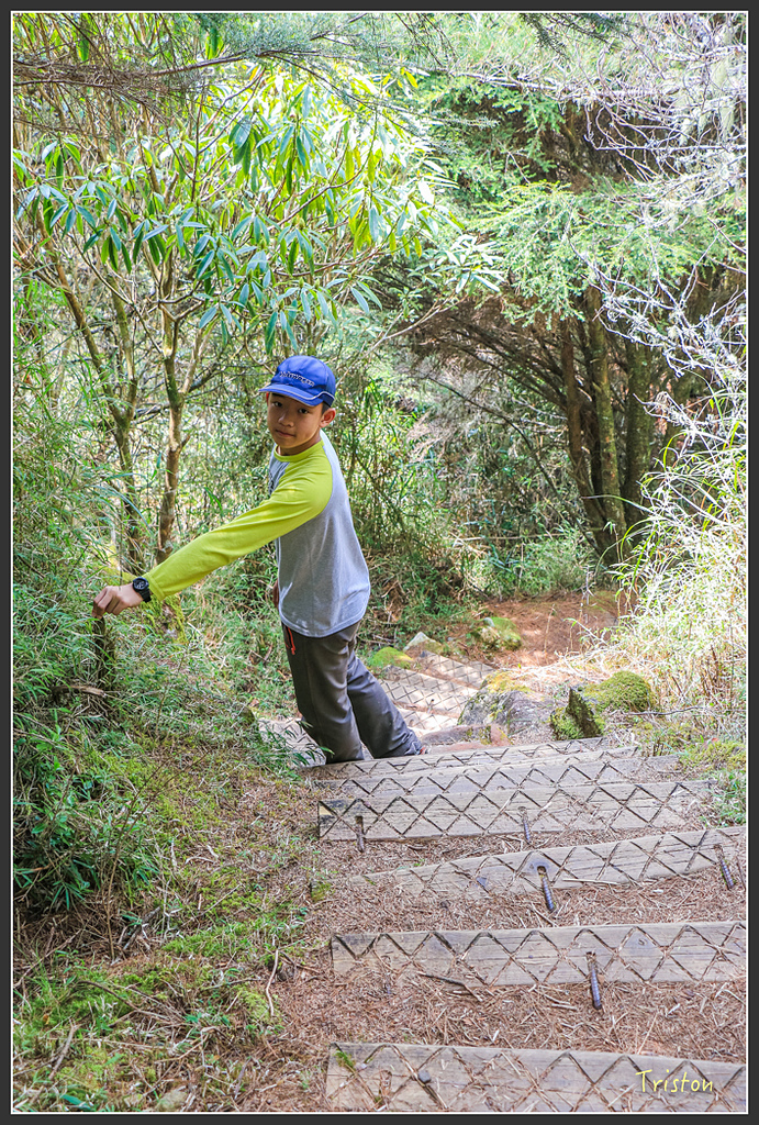 IMG_6274.jpg - 20160402 鹿林麟趾東埔山