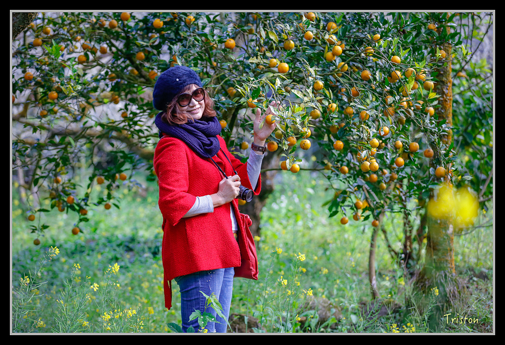 _H1A1380.jpg - 20170117 烏松崙、竹青庭