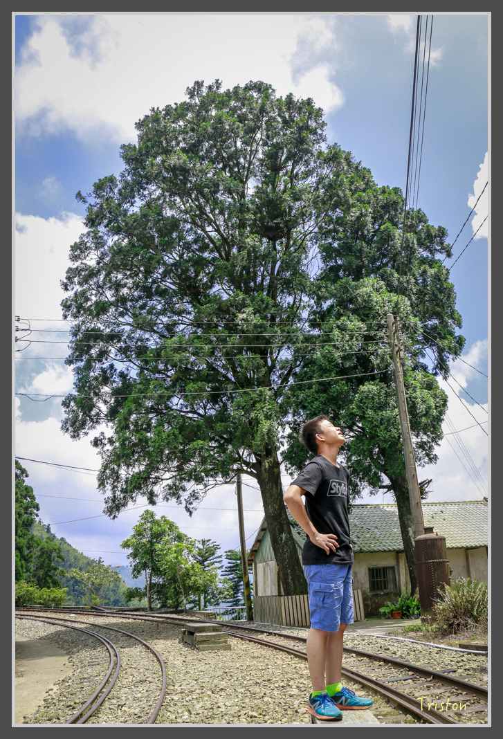 _MG_8788.jpg - 20160622 圓潭、雲潭、水社寮車站