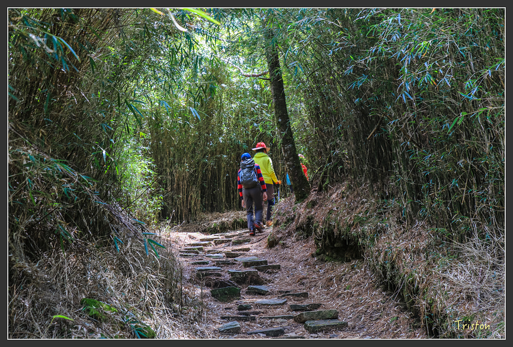 IMG_6111.jpg - 20160402 鹿林麟趾東埔山