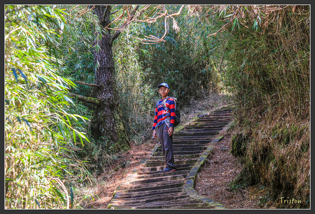IMG_6113.jpg - 20160402 鹿林麟趾東埔山