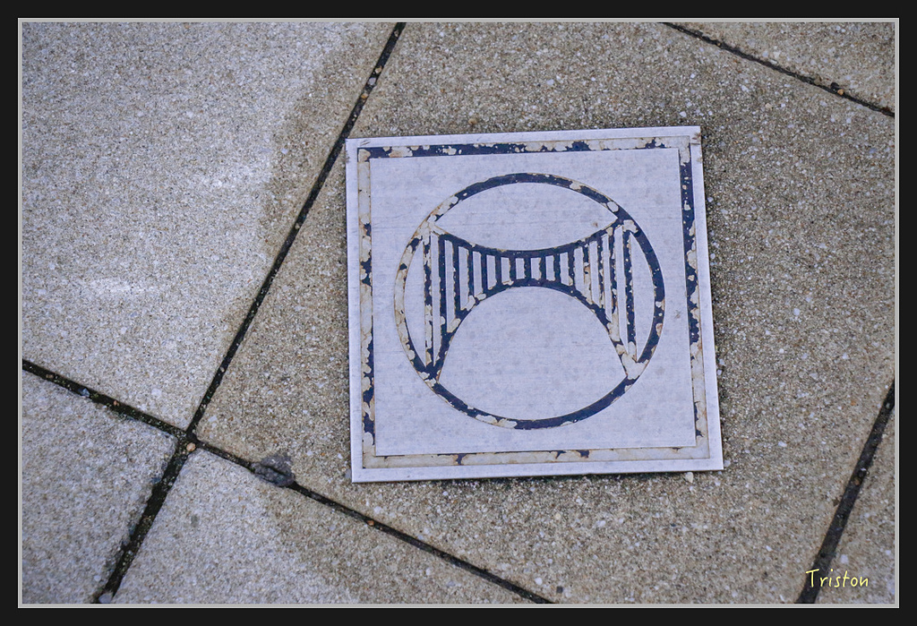 Canon-46.jpg - 20170120 大阪神戶親子遊