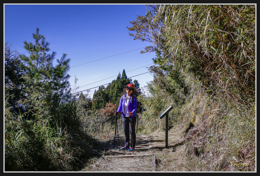 _MG_0098.jpg - 20161226 大塔山