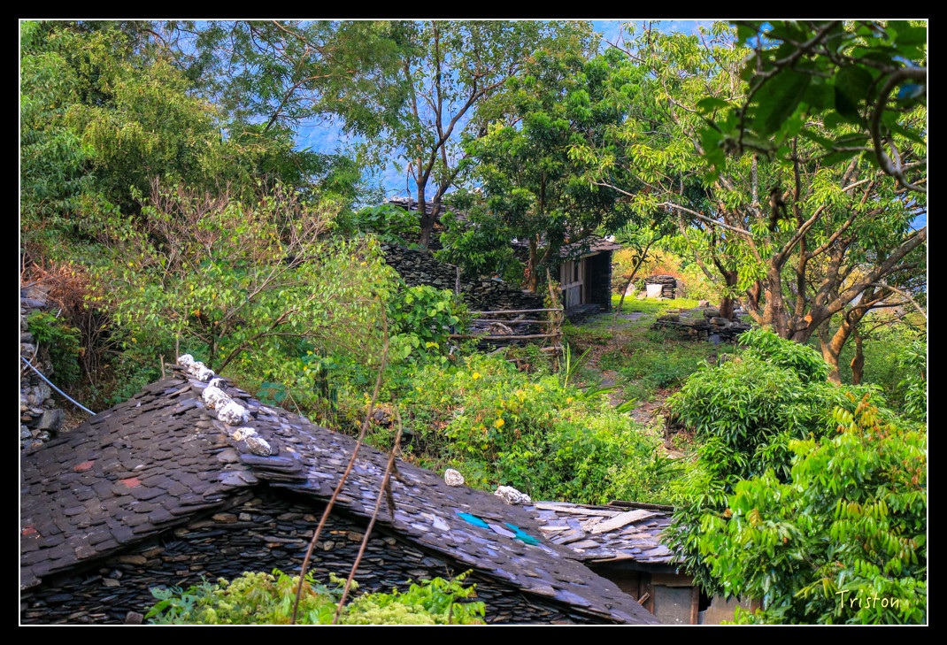 IMG_9594.jpg - 20151202 老七佳部落