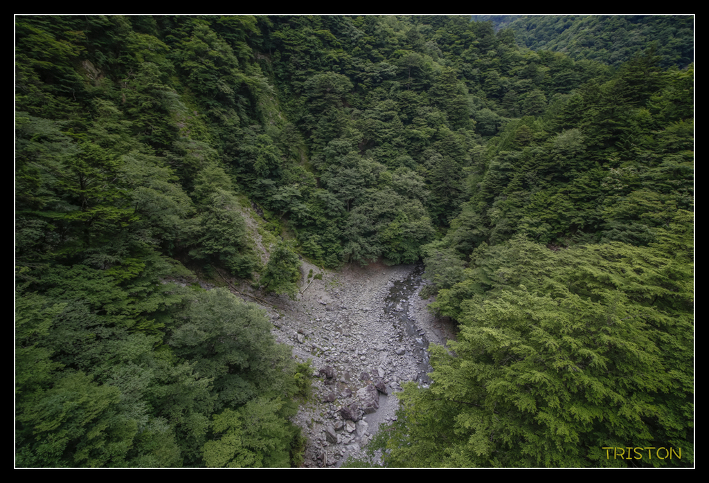 _MG_0854.jpg - 20170702 靜岡東海道之旅