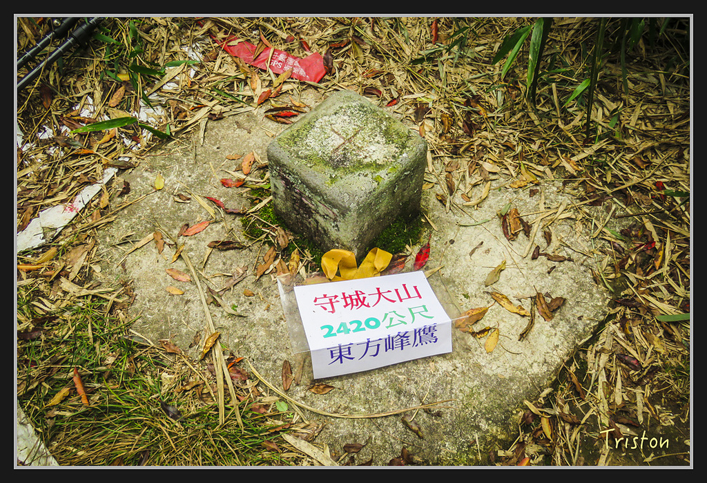 IMG_1423.jpg - 20170318 守關山、守城大山