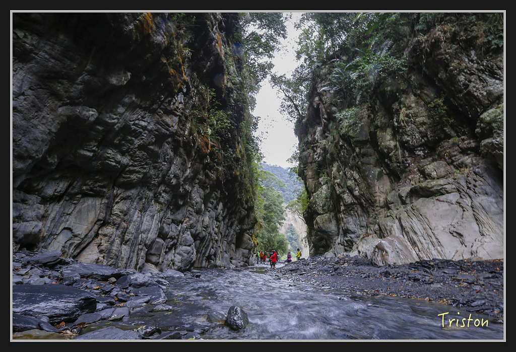 _H1A1894.jpg - 20170212 武界 萬大電廠 奧萬大