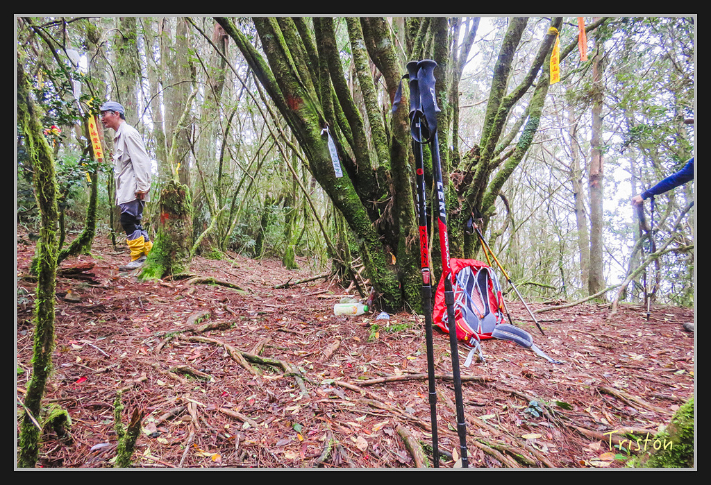 IMG_1429.jpg - 20170318 守關山、守城大山