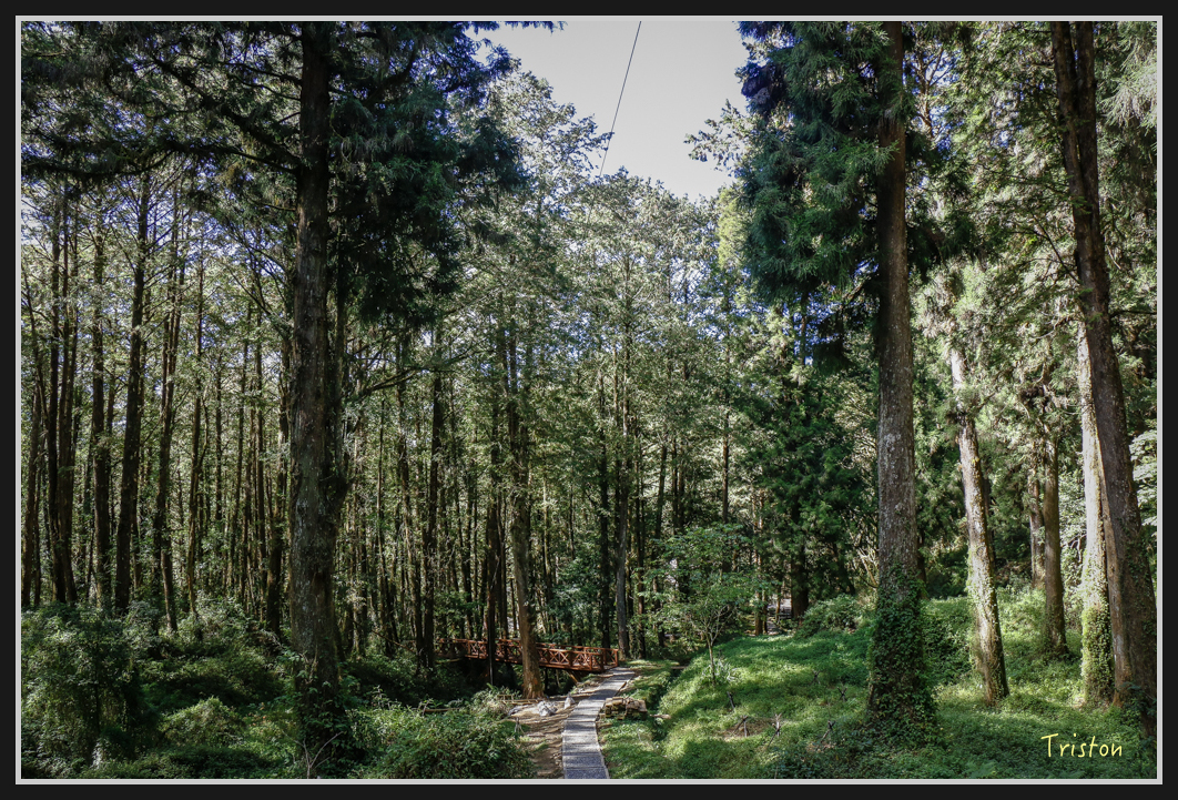 _MG_0181.jpg - 20161226 大塔山