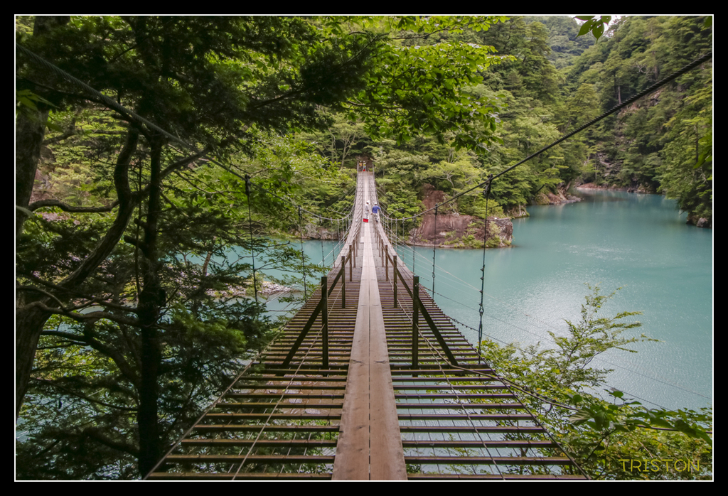 _MG_0724.jpg - 20170702 靜岡東海道之旅