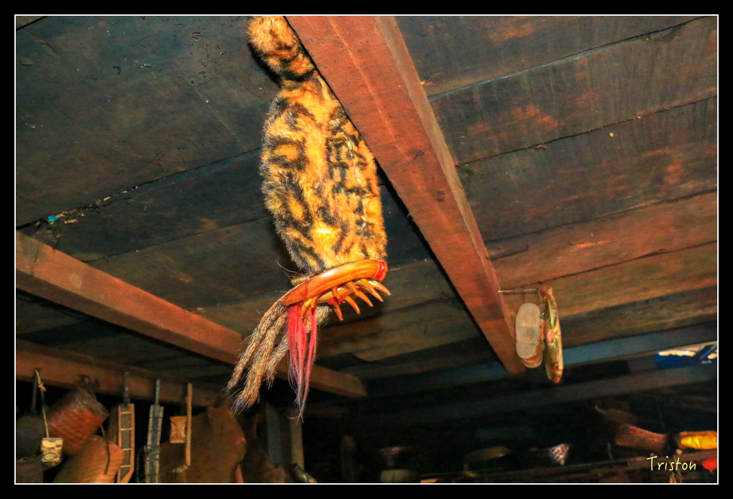 IMG_9635.jpg - 20151202 老七佳部落