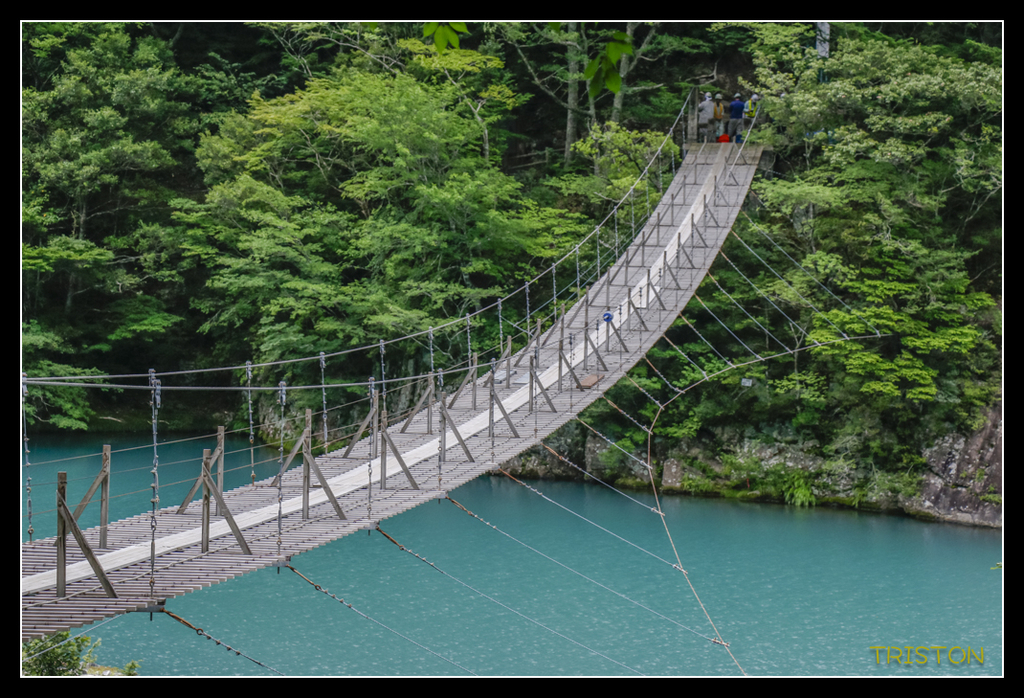 _MG_0727.jpg - 20170702 靜岡東海道之旅
