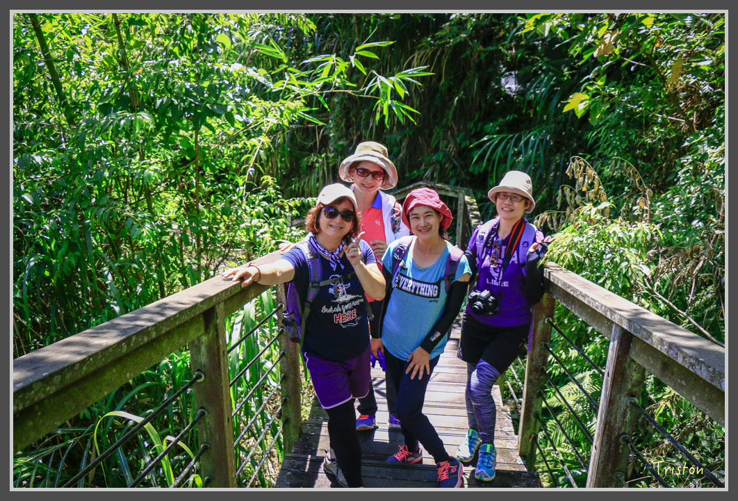 _MG_9083.jpg - 20160716 青年嶺步道