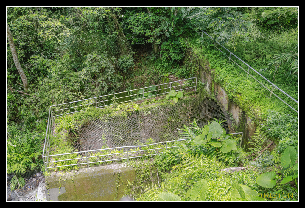 _H1A5190.jpg - 20170717 台北日月潭之旅