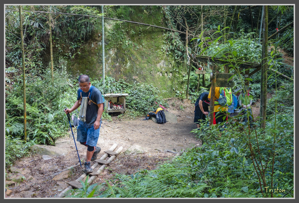 DSC00789.jpg - 20160924 溪頭台寅山