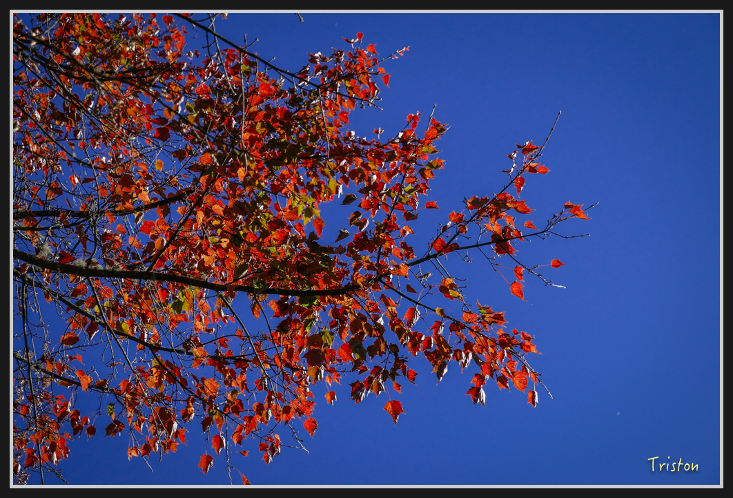 _MG_0087.jpg - 20161226 大塔山