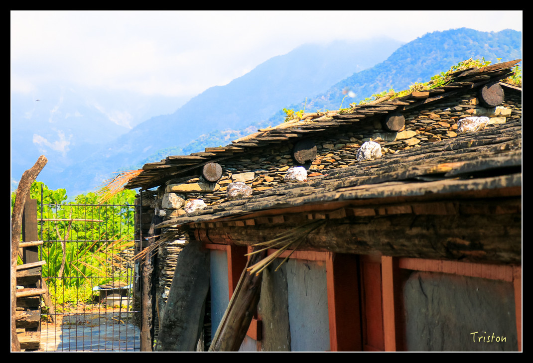 IMG_9496.jpg - 20151202 老七佳部落