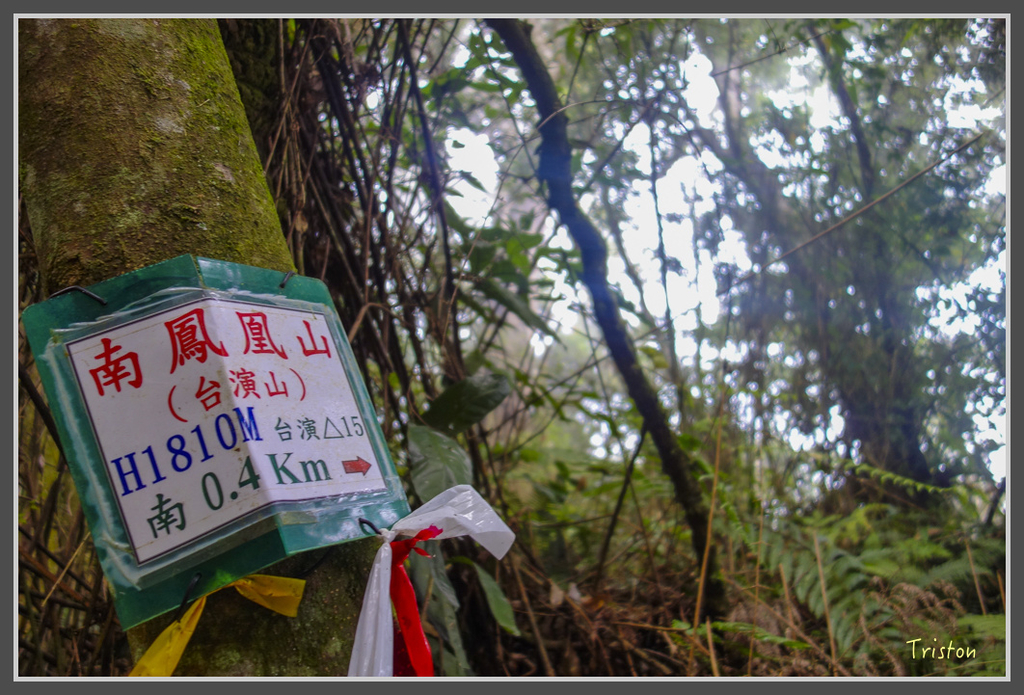 DSC00799.jpg - 20160924 溪頭台寅山