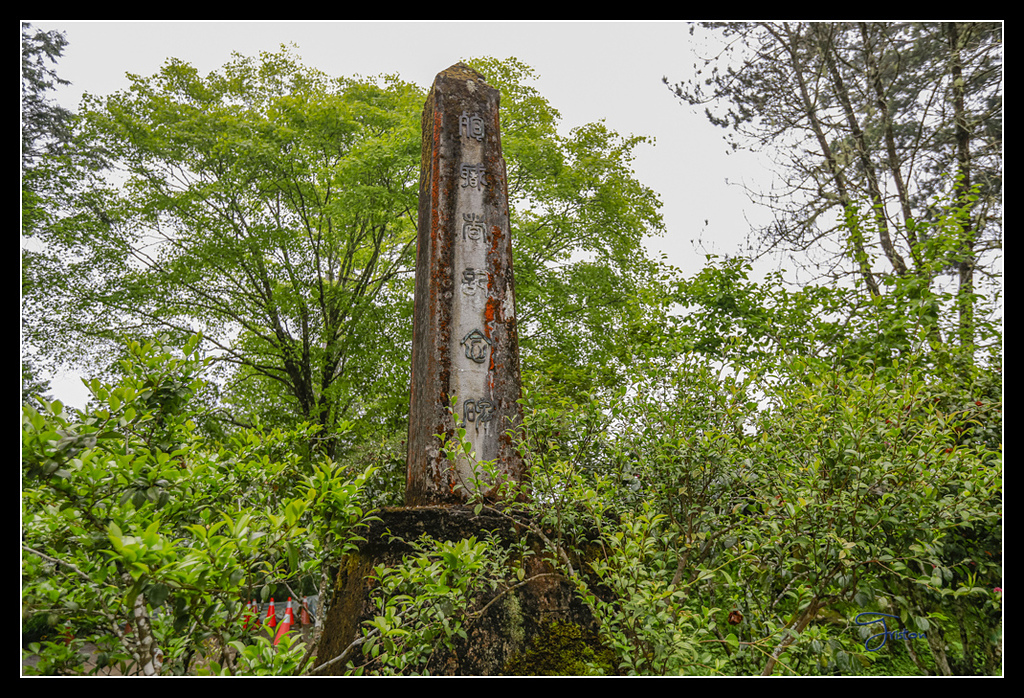 _H1A3746.jpg - 20170425 阿里山+圓潭螢火蟲