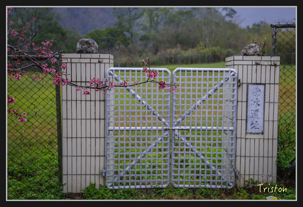 _H1A1941.jpg - 20170212 武界 萬大電廠 奧萬大