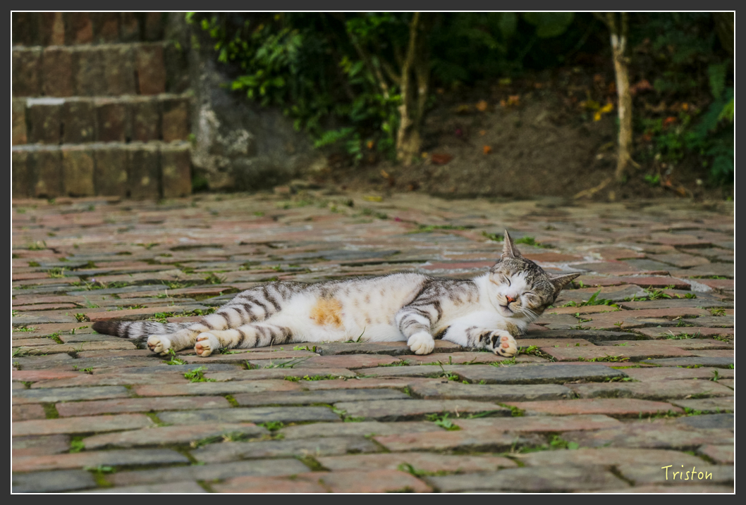 IMG_1579-2.jpg - 20160122 南仁湖、墾丁