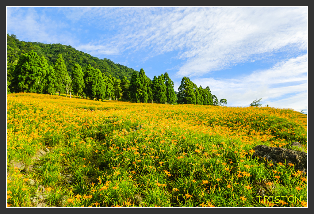 _H1A6629.jpg - 20170901 戀戀台九線