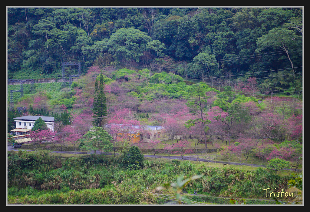 _H1A1973.jpg - 20170212 武界 萬大電廠 奧萬大