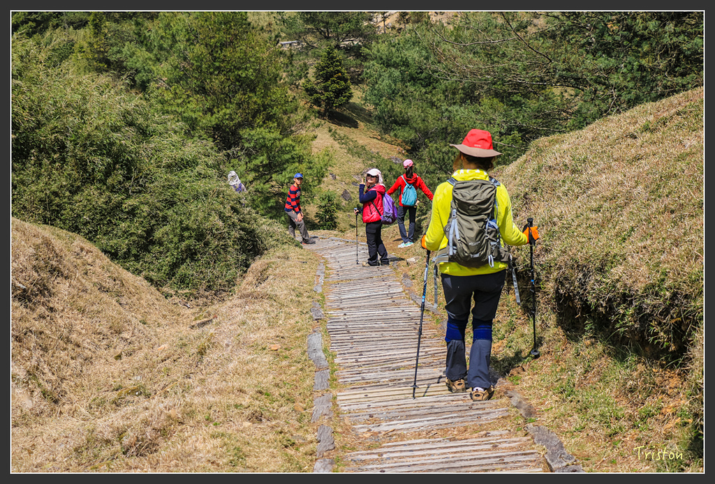 IMG_6148.jpg - 20160402 鹿林麟趾東埔山